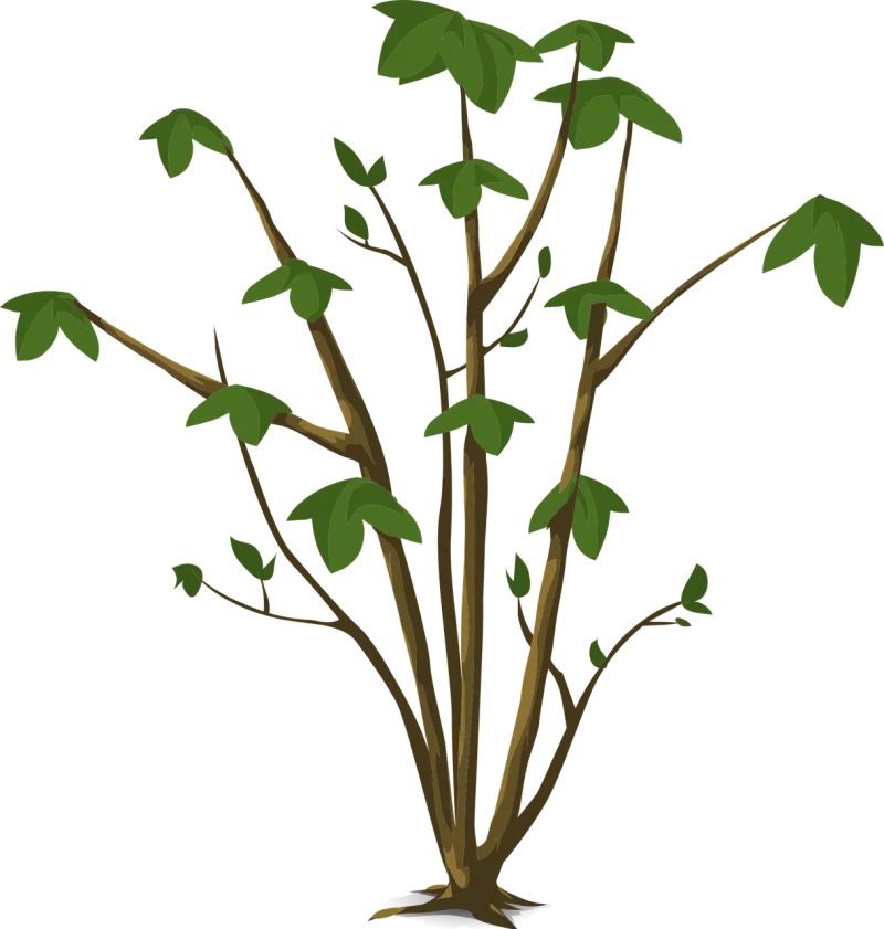 Plant Leaves Green Stickdatei – Natur
