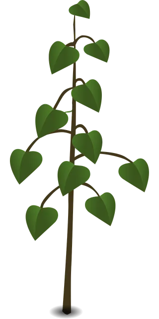 Tree Plant Leaves Stickdatei