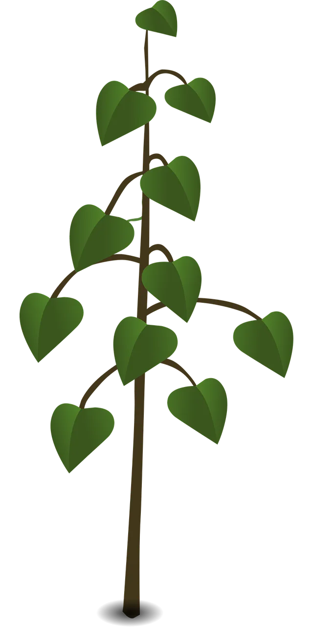 Tree Plant Leaves Stickdatei – Natur