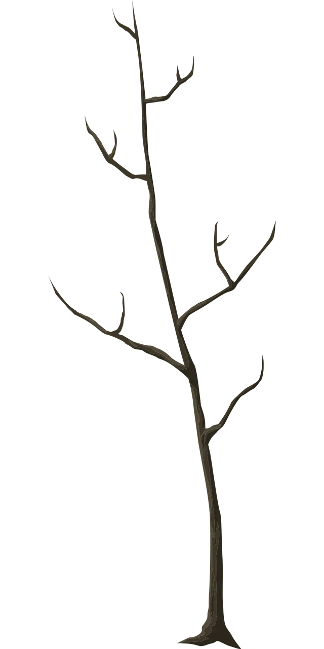 Tree Dead Autumn Stickdatei – Natur