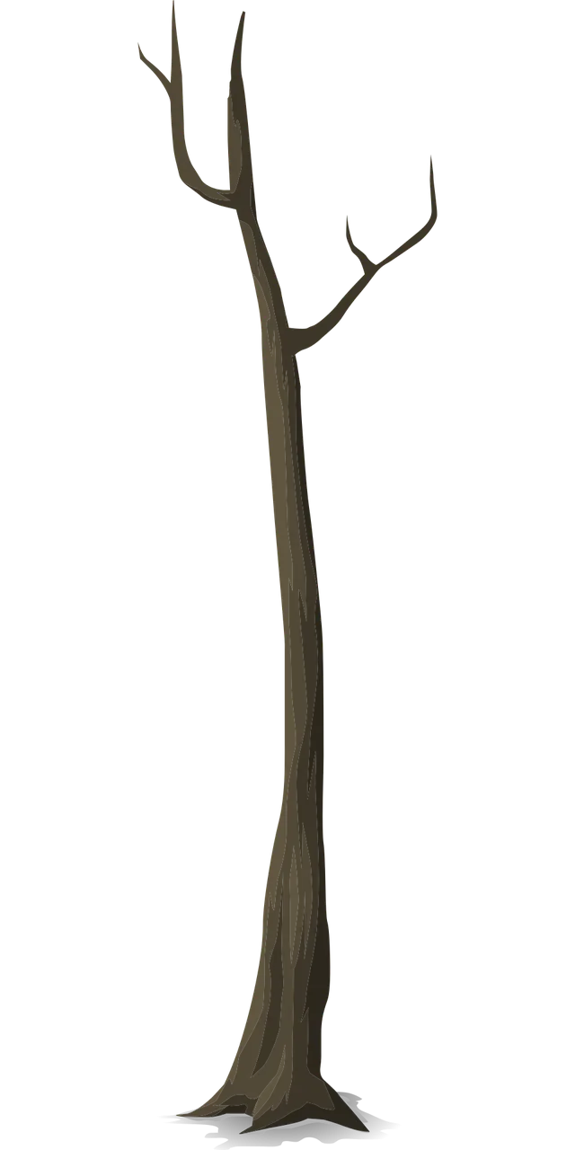 Tree Dead Autumn Stickdatei – Natur