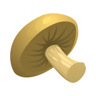 Mushroom Vegetable Raw Stickdatei