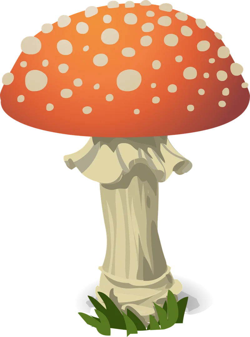 Mushroom Fly agaric Red Stickdatei – Natur