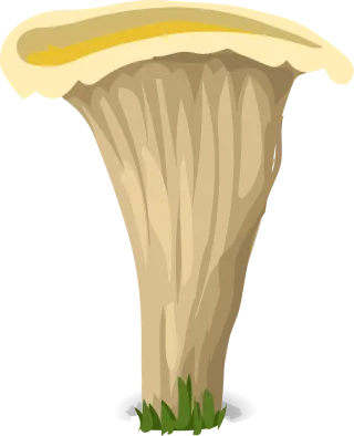 Mushroom Fungus White Stickdatei