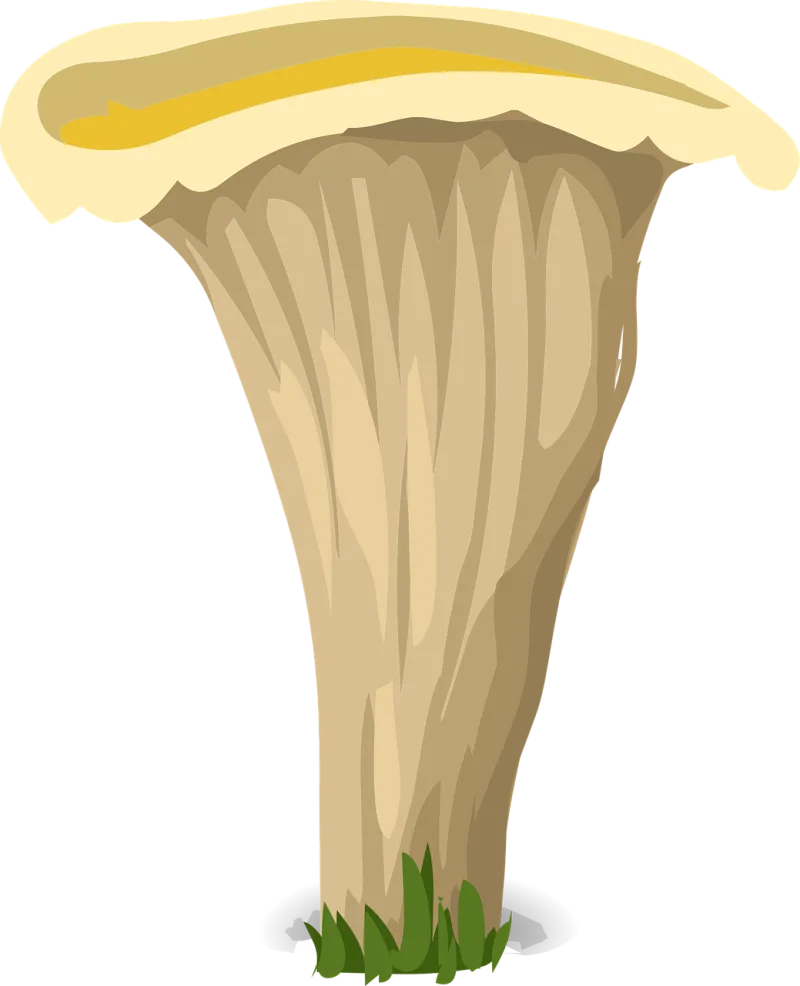 Mushroom Fungus White Stickdatei – Natur