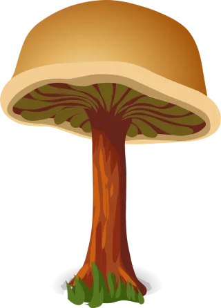 Mushroom Brown Harmless Stickdatei