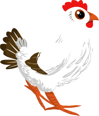 Rooster Poultry Cockerel Stickdatei
