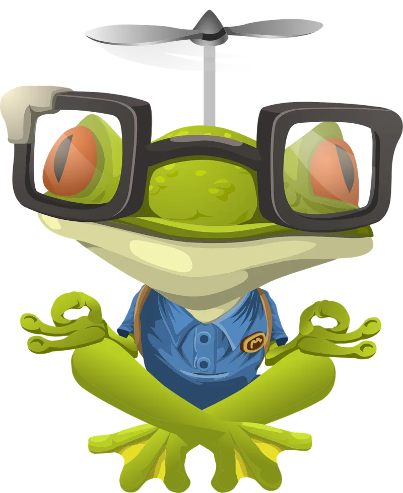 Meditate Frog Yoga Stickdatei – Sport