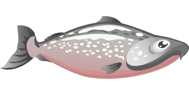 Fish Gray Grey Stickdatei – Tiere