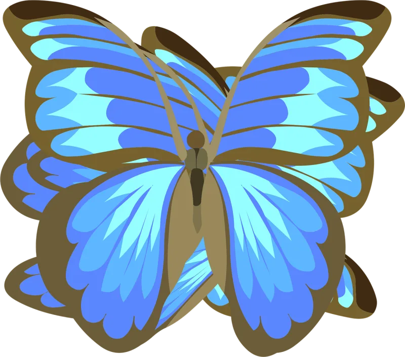 Butterfly Blue Black Stickdatei – Tiere