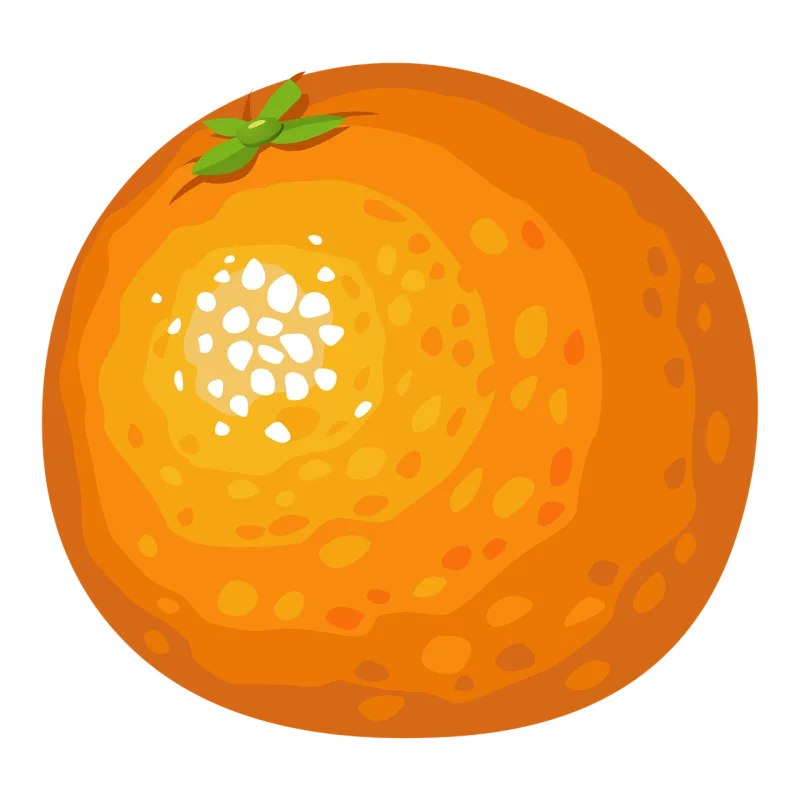 Orange Fruit Citrus Stickdatei – Essen & Trinken