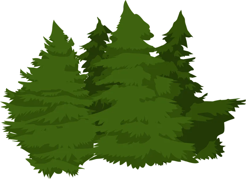 Trees Woods Pines Stickdatei – Natur