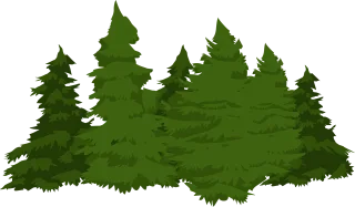 Pines Trees Forest Stickdatei