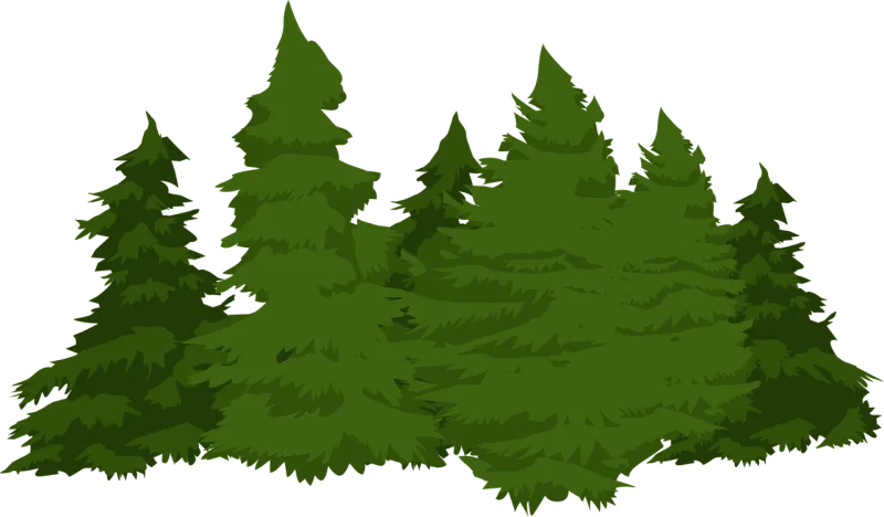 Pines Trees Forest Stickdatei – Natur