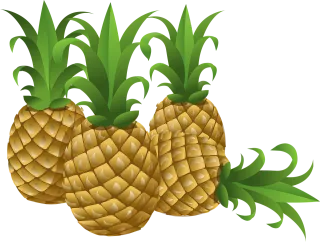Pineapples Tropical Fruits Stickdatei