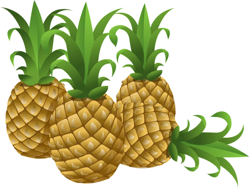 Pineapples Tropical Fruits Stickdatei – Essen & Trinken