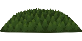 Forest Trees Green Stickdatei