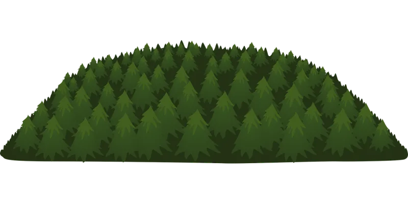 Forest Trees Green Stickdatei – Natur