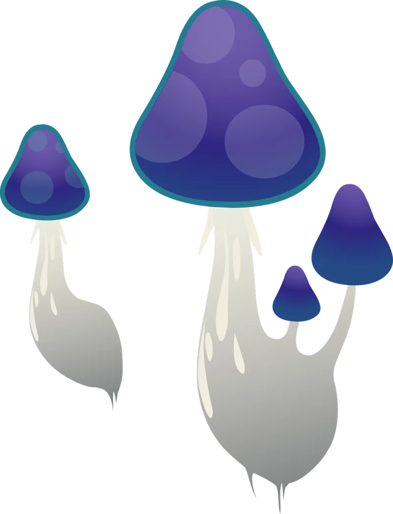 Mushroom Cap Fungi Stickdatei – Natur