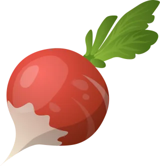 Radish Vegetable Raw Stickdatei