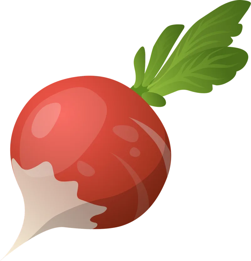 Radish Vegetable Raw Stickdatei – Natur