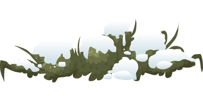 Bush Shrub Snow Stickdatei – Weihnachten