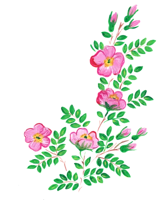 Roses Rose The sleeping rose Stickdatei – Blumen
