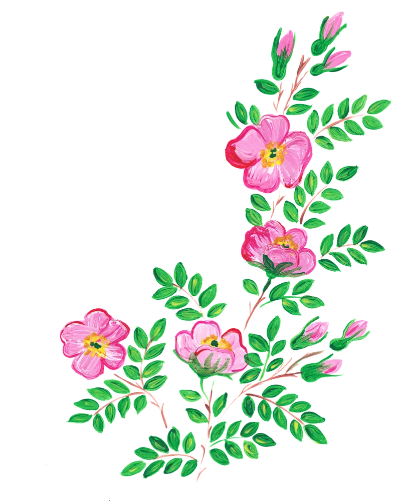 Roses Rose The sleeping rose Stickdatei – Blumen
