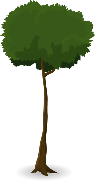 Tree Trunk Nature Stickdatei