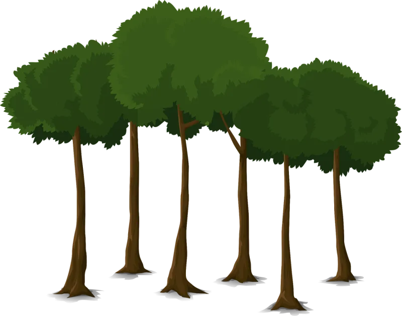 Tree Trunk Nature Stickdatei – Natur