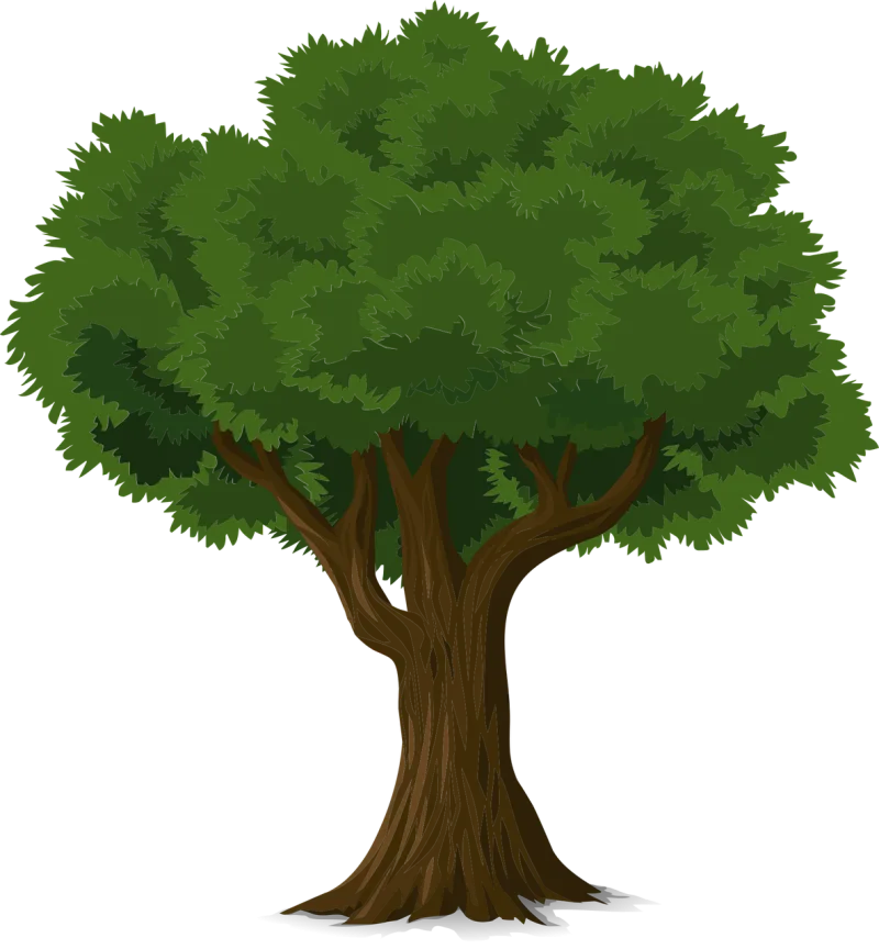 Tree Trunk Leaves Stickdatei – Natur