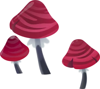 Mushrooms Pink Plants Stickdatei – Natur