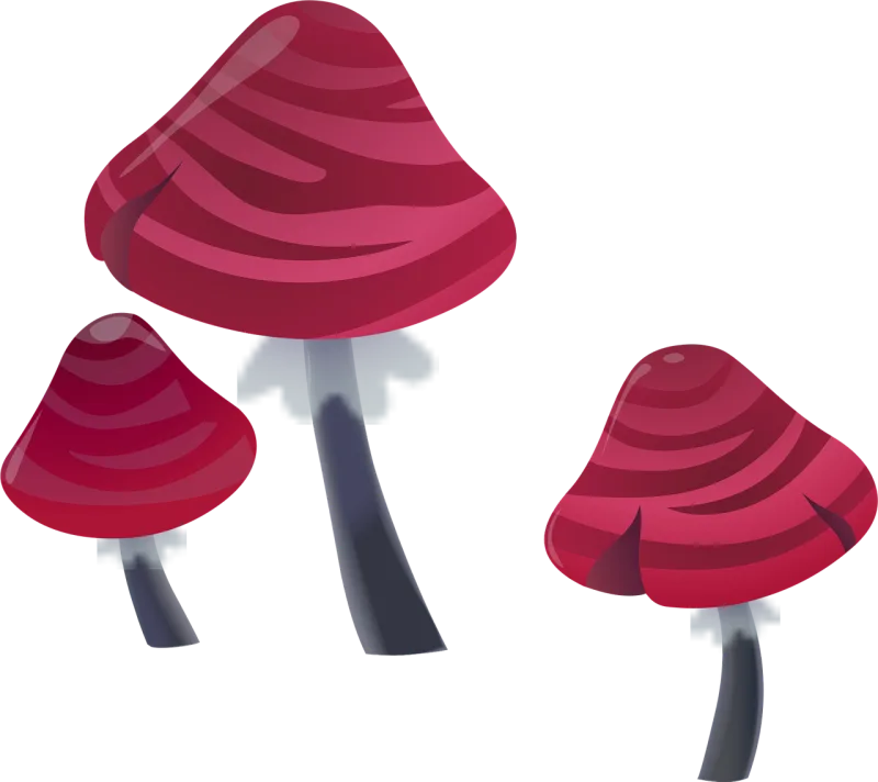 Mushrooms Pink Plants Stickdatei – Natur