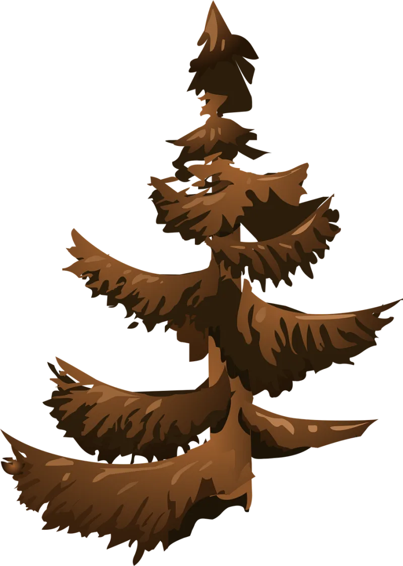 Conifer Fir tree Tree Stickdatei – Natur