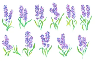 Lavender Blade Bouquet Stickdatei