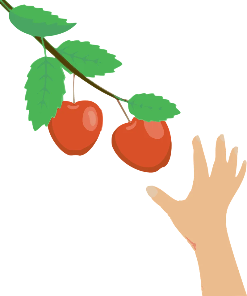 Apples Branch Hand Stickdatei – Essen & Trinken