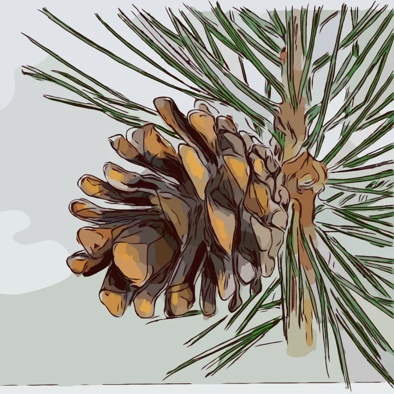 Cone Pine Tree Stickdatei – Weihnachten