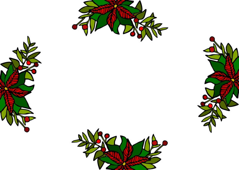 Poinsettia Holly Border Stickdatei – Weihnachten