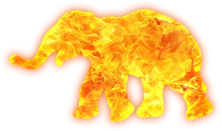 Elephant Flames Nature Stickdatei