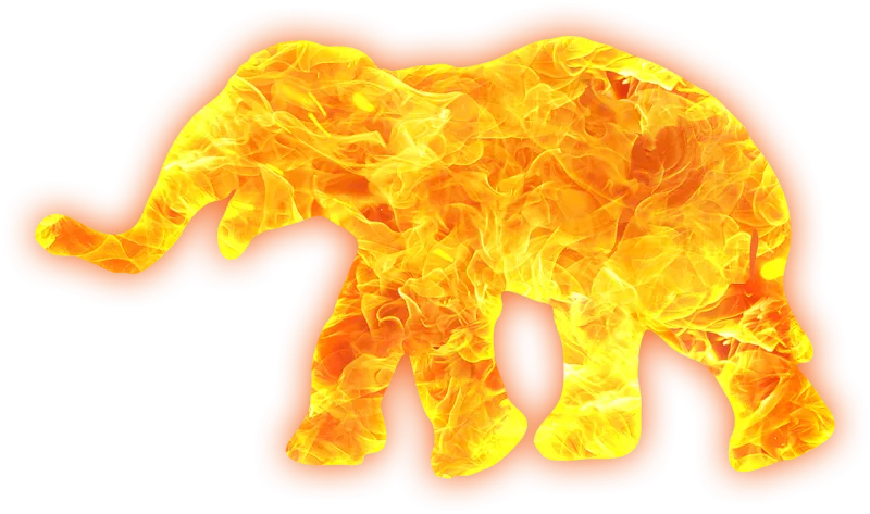 Elephant Flames Nature Stickdatei – Fahrzeuge