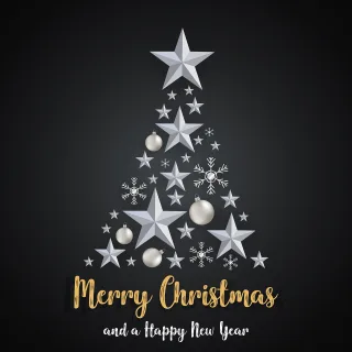 Merry christmas Happy new year Nature Stickdatei