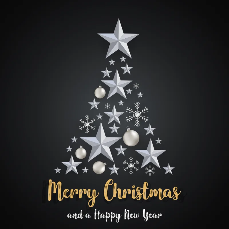 Merry christmas Happy new year Nature Stickdatei – Weihnachten
