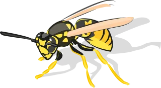 Bee Insect Animal Stickdatei