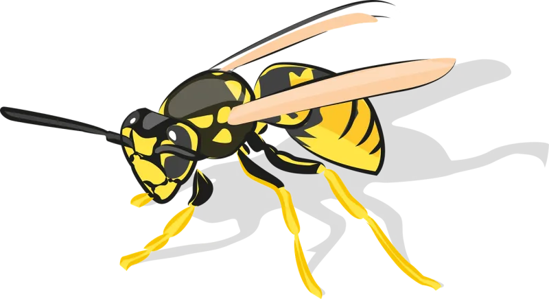 Bee Insect Animal Stickdatei – Tiere