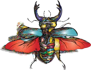 Beetle Insect Colorful Stickdatei