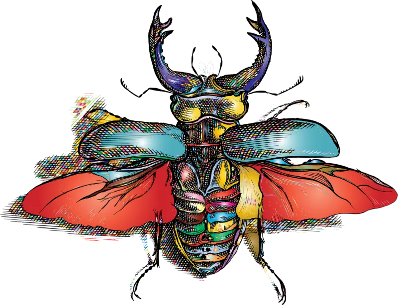 Beetle Insect Colorful Stickdatei – Tiere
