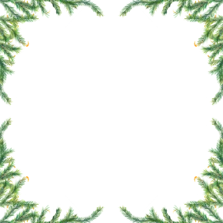Needles Pine Border Stickdatei