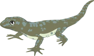 Animal Lizard Nature Stickdatei