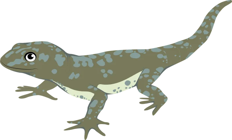 Animal Lizard Nature Stickdatei – Tiere
