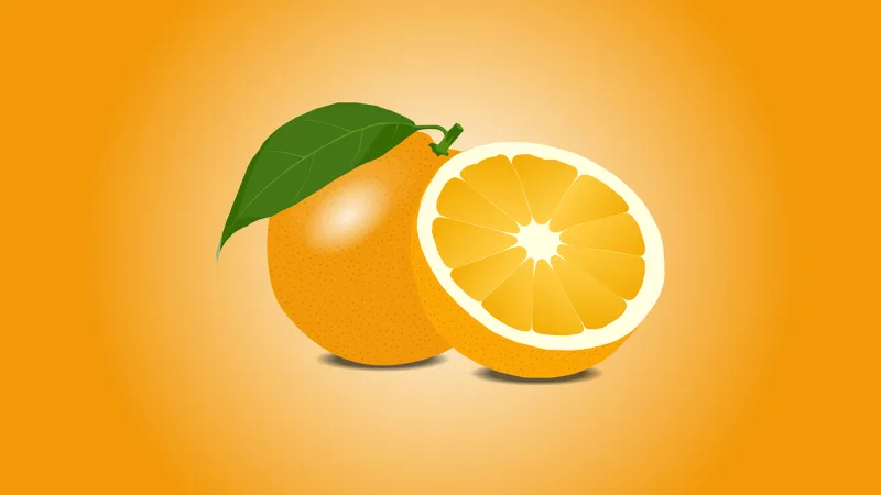 Orange Fruit Slice Stickdatei – Essen & Trinken